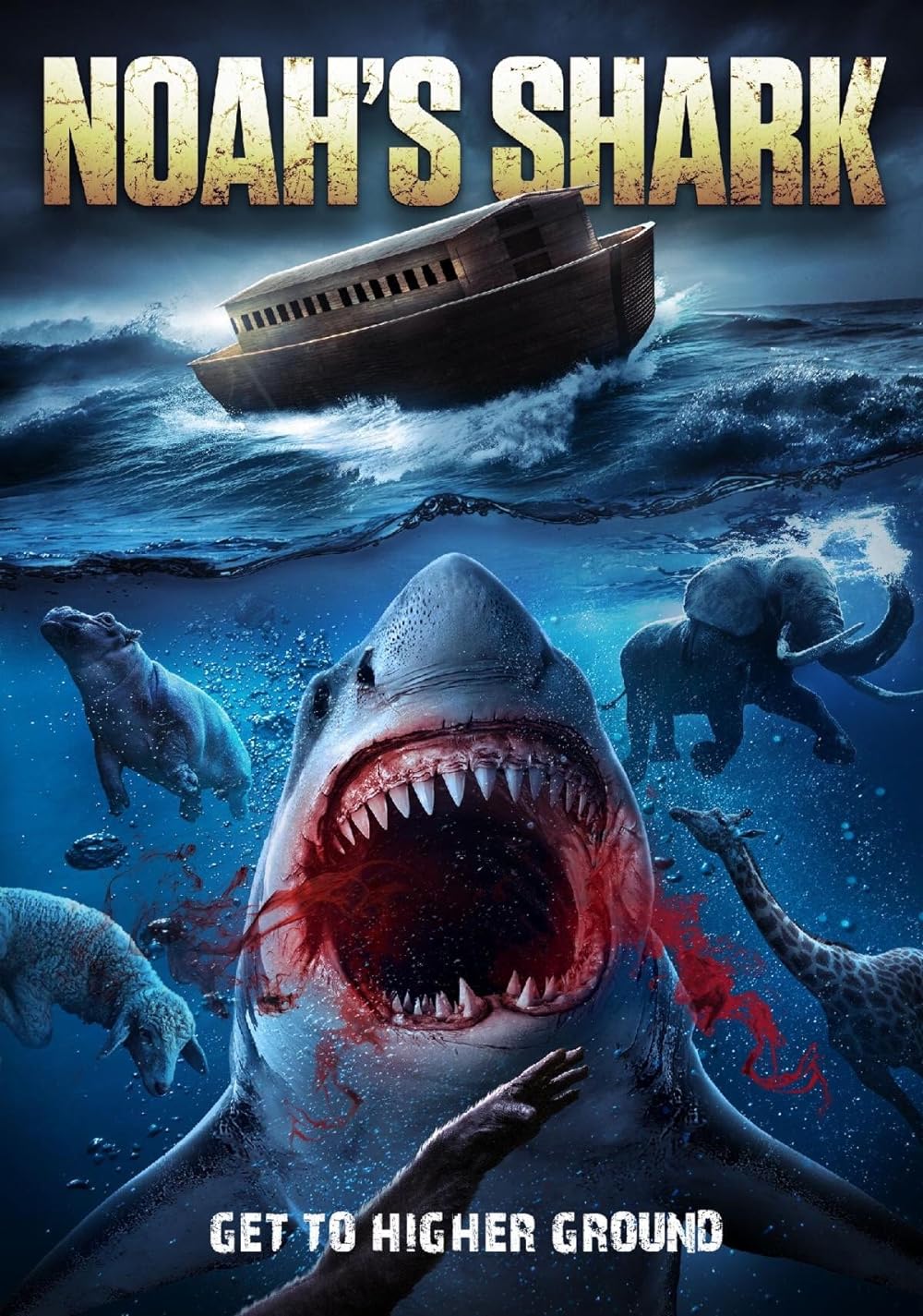 Noah's Noah's