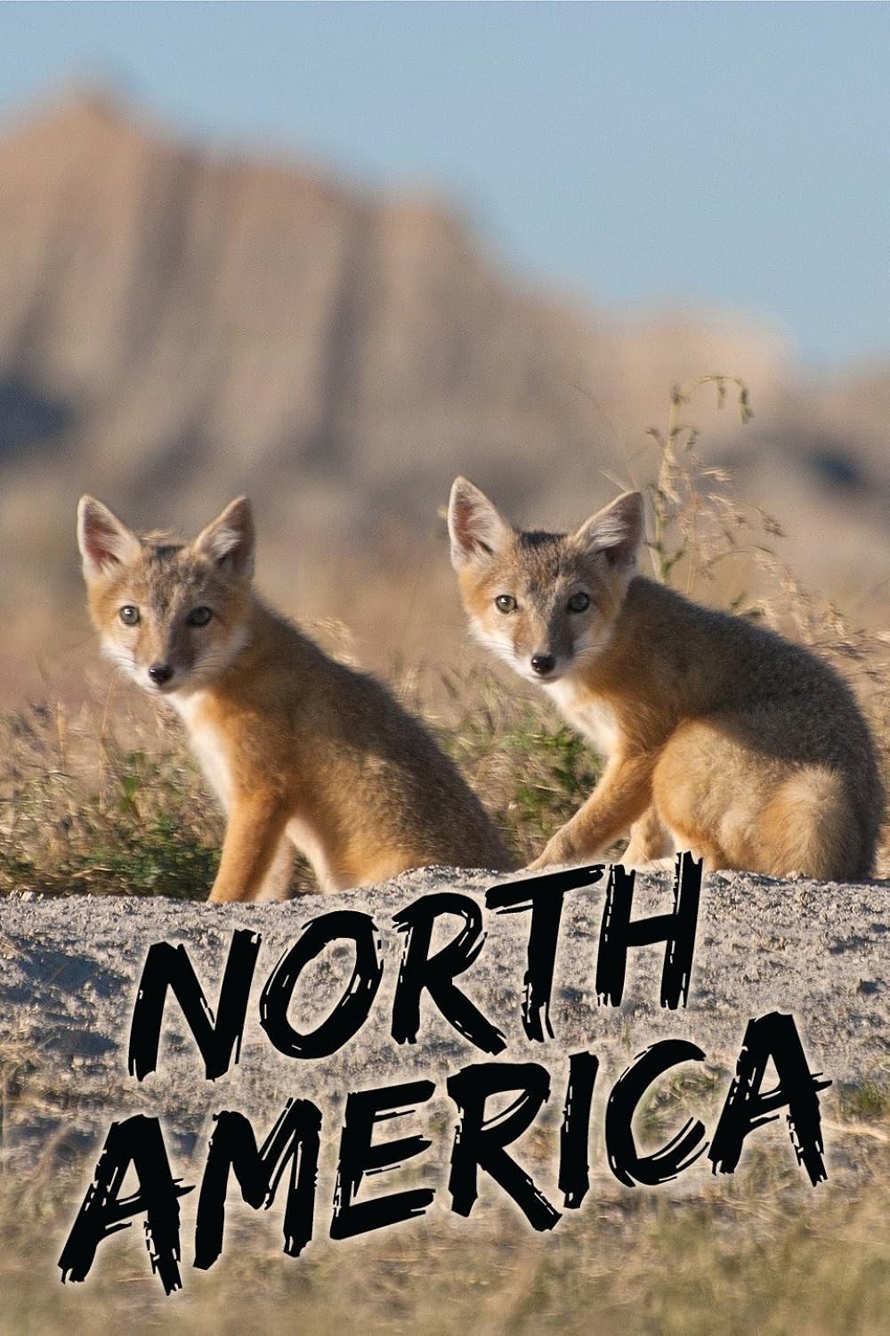 North North