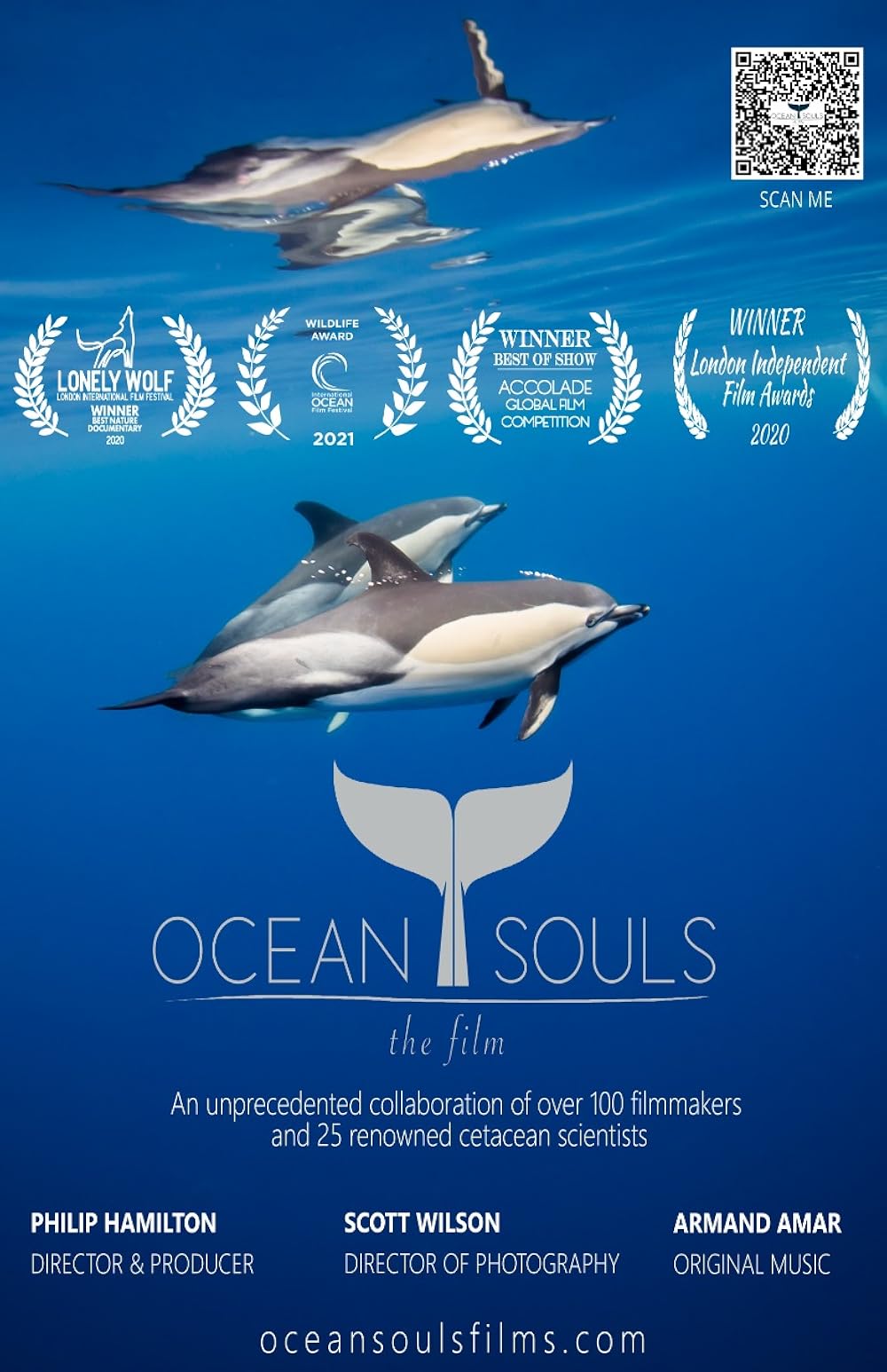 Ocean Ocean
