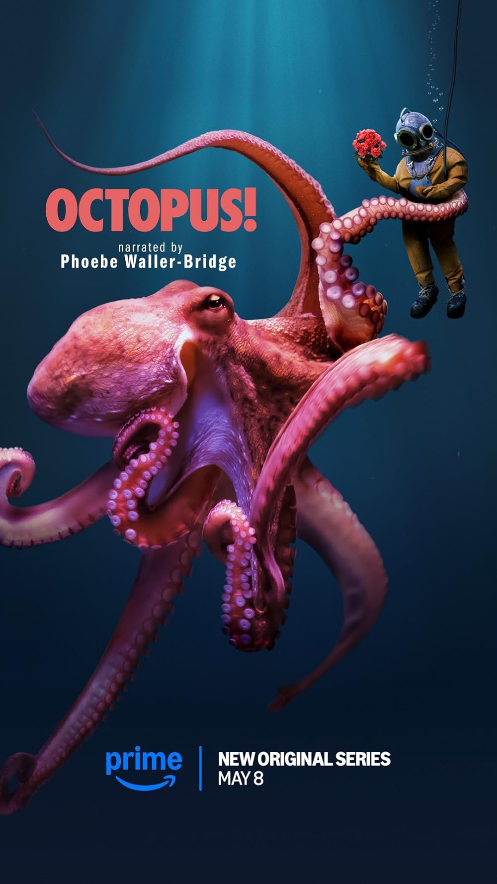 Octopus! Octopus!