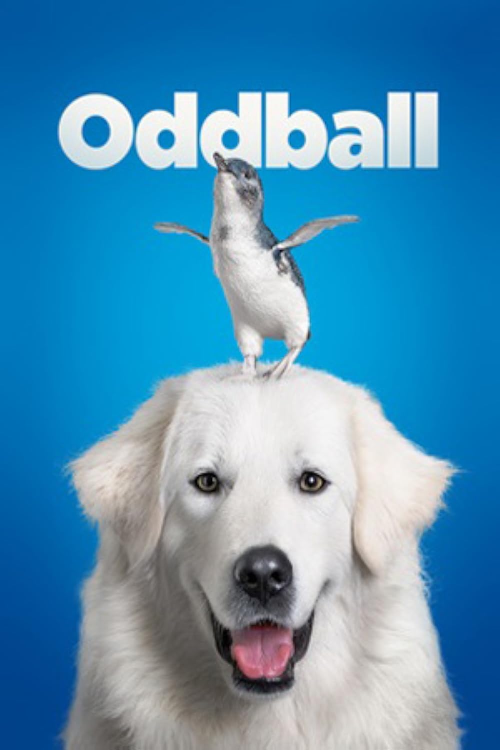 Oddball Oddball
