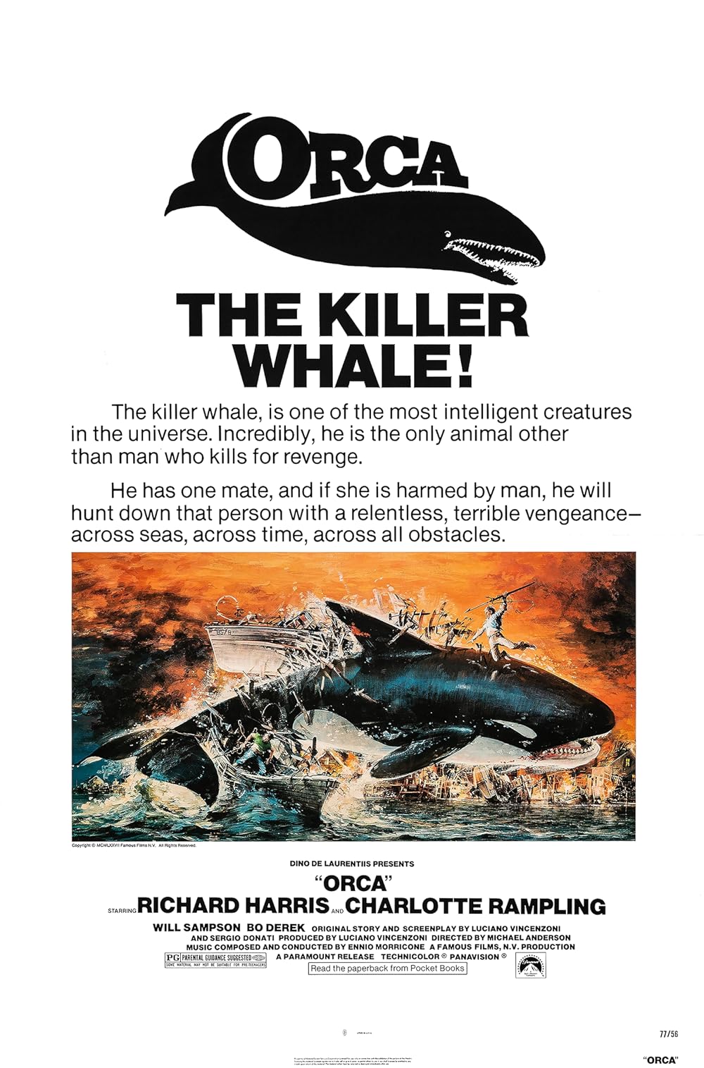Orca Orca