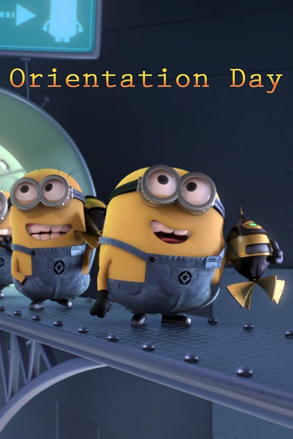 Orientation