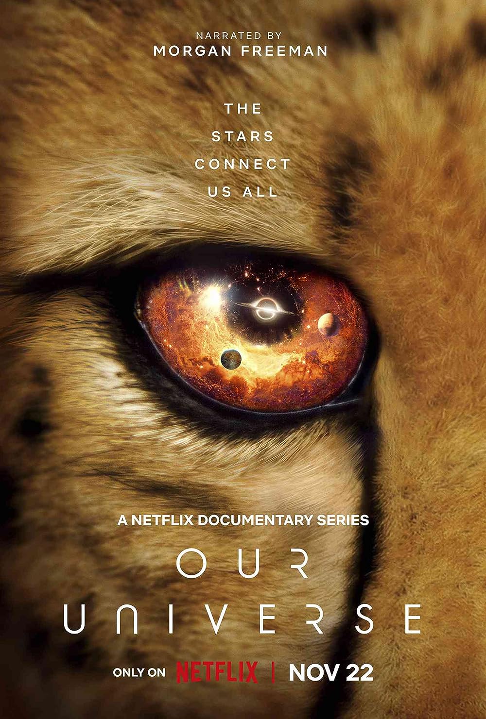 Our Our