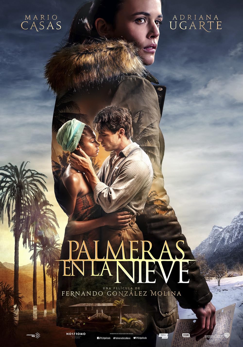 Palm Palm