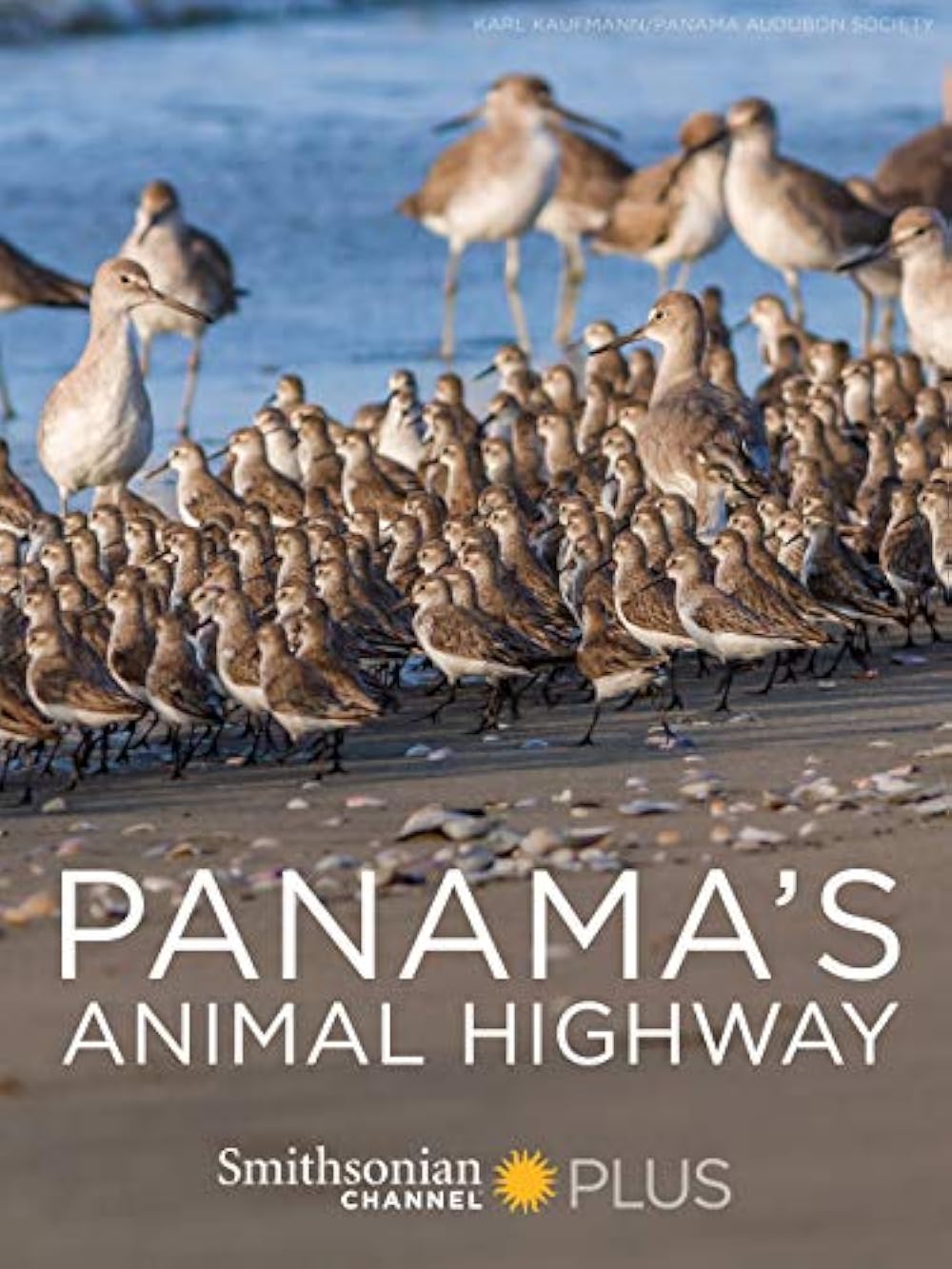 Panama's Panama's