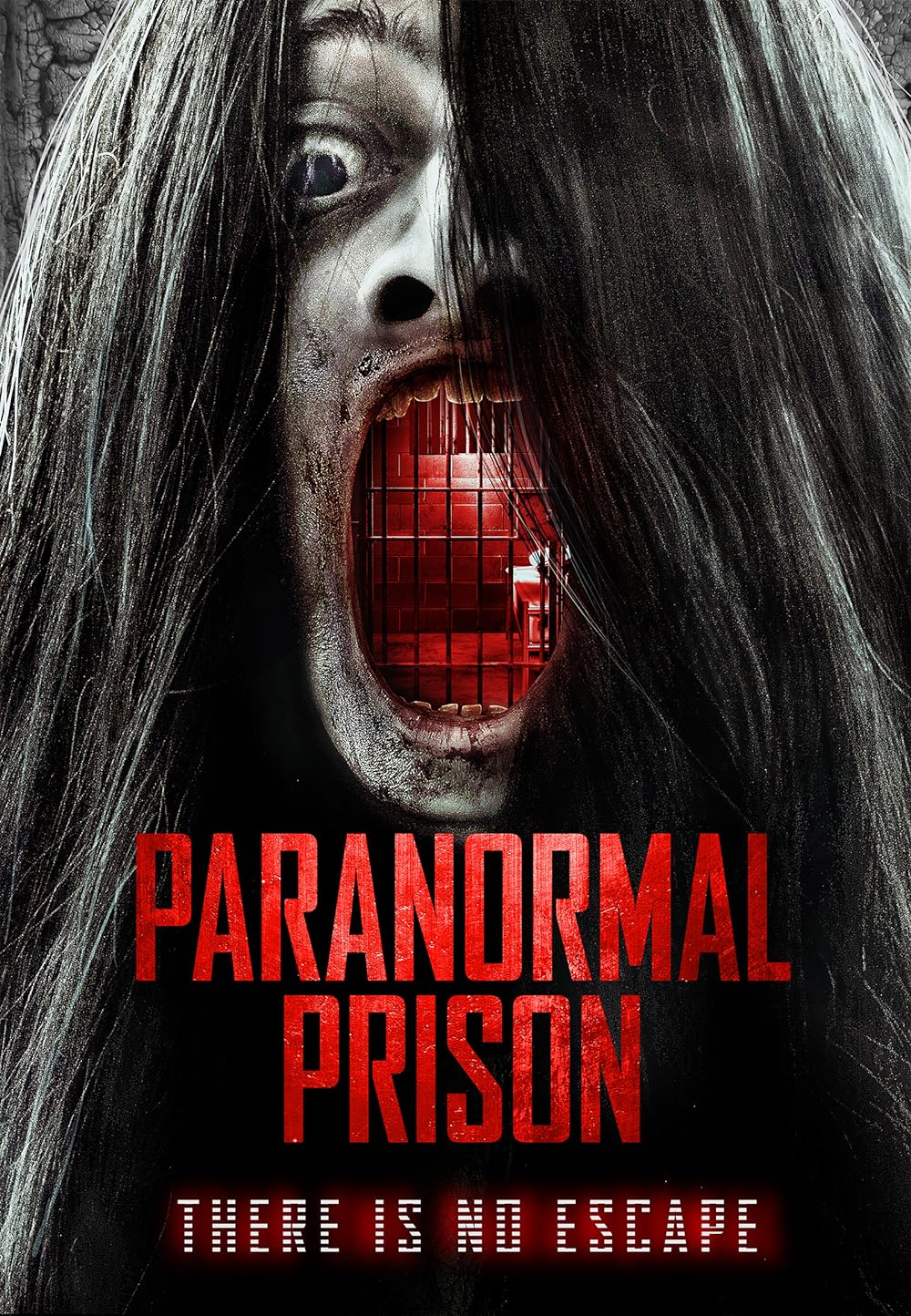 Paranormal Paranormal