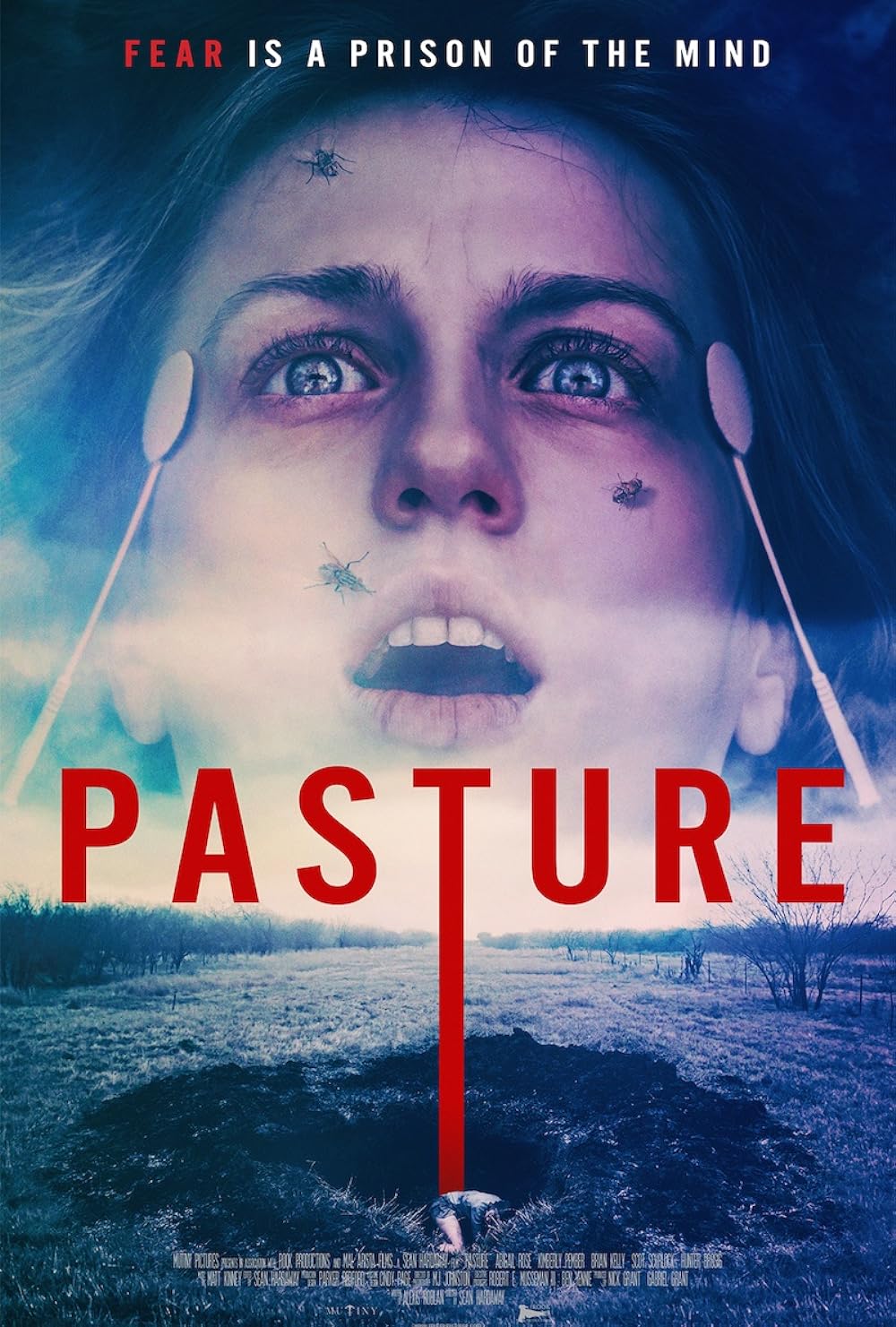 Pasture Pasture