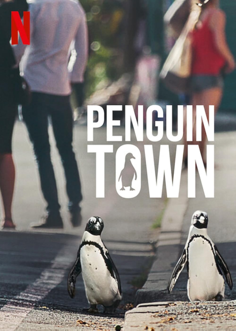 Penguin Penguin