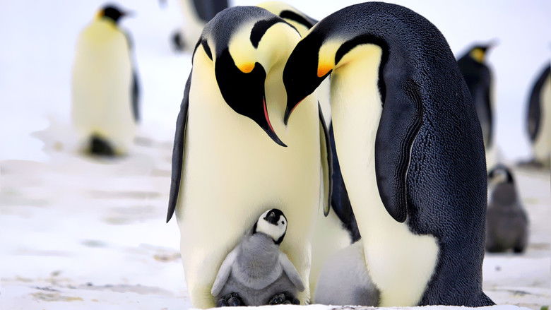 Penguins