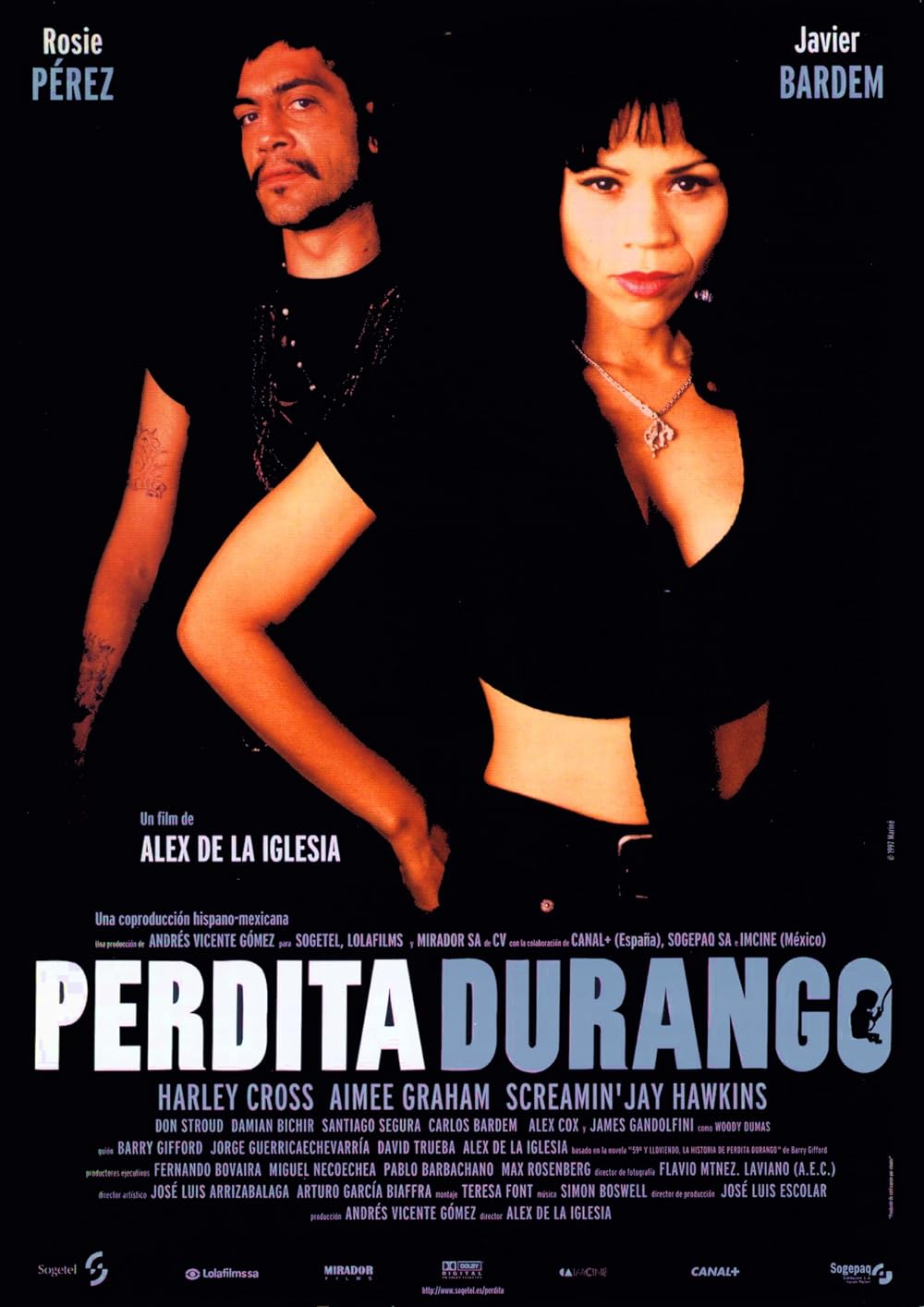 Perdita Perdita