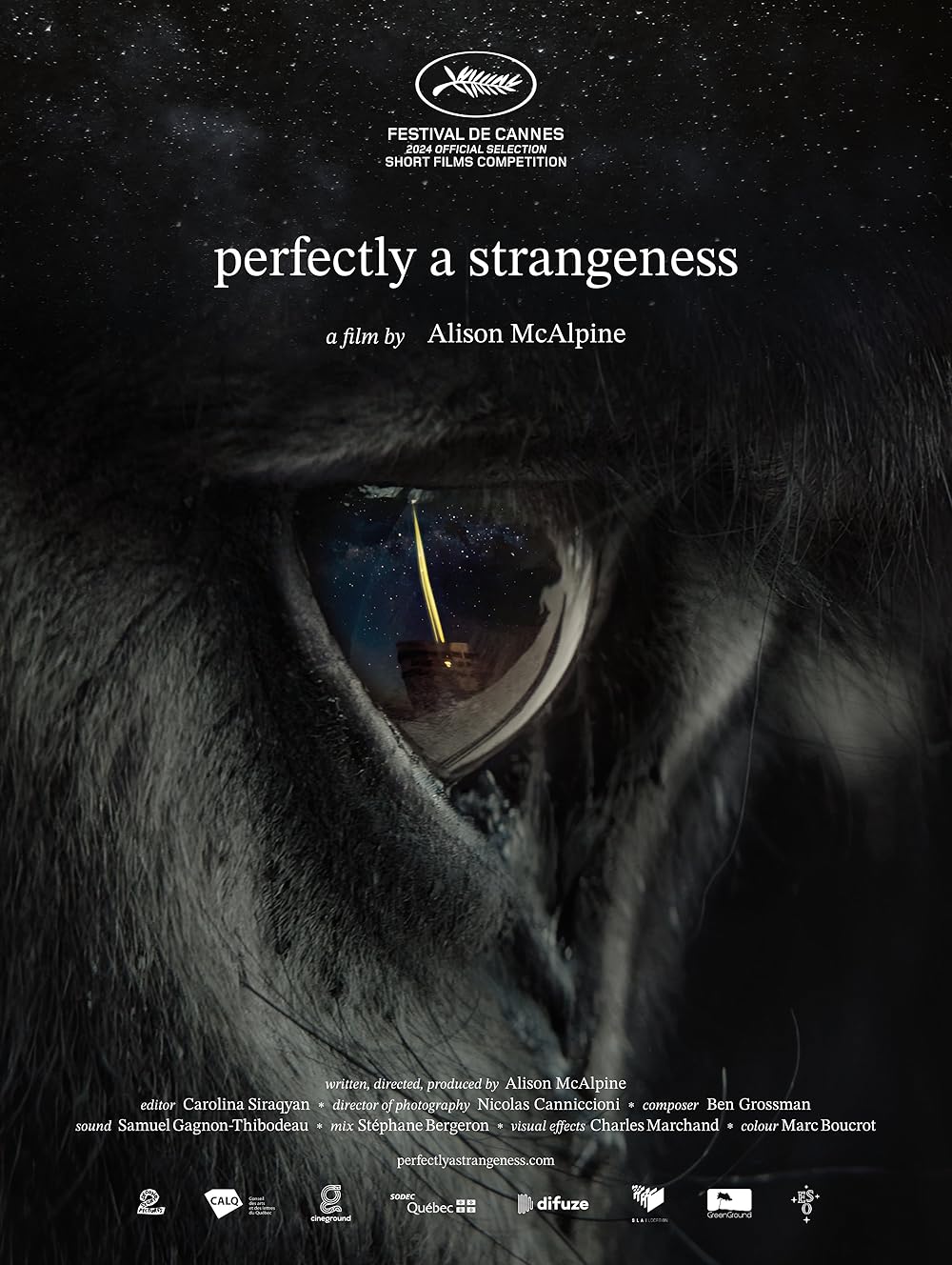 Perfectly Perfectly