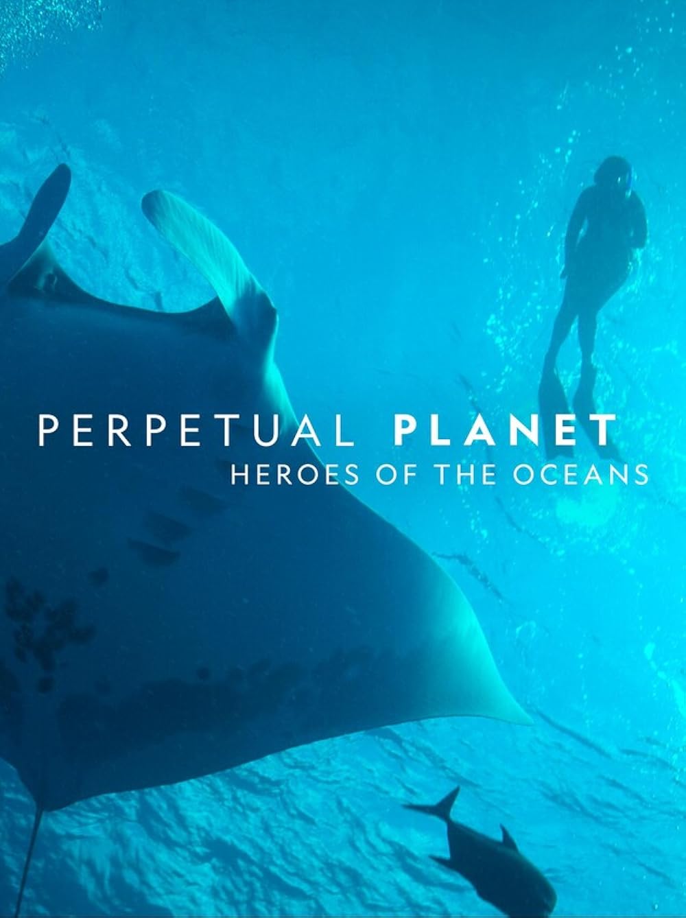 Perpetual Perpetual