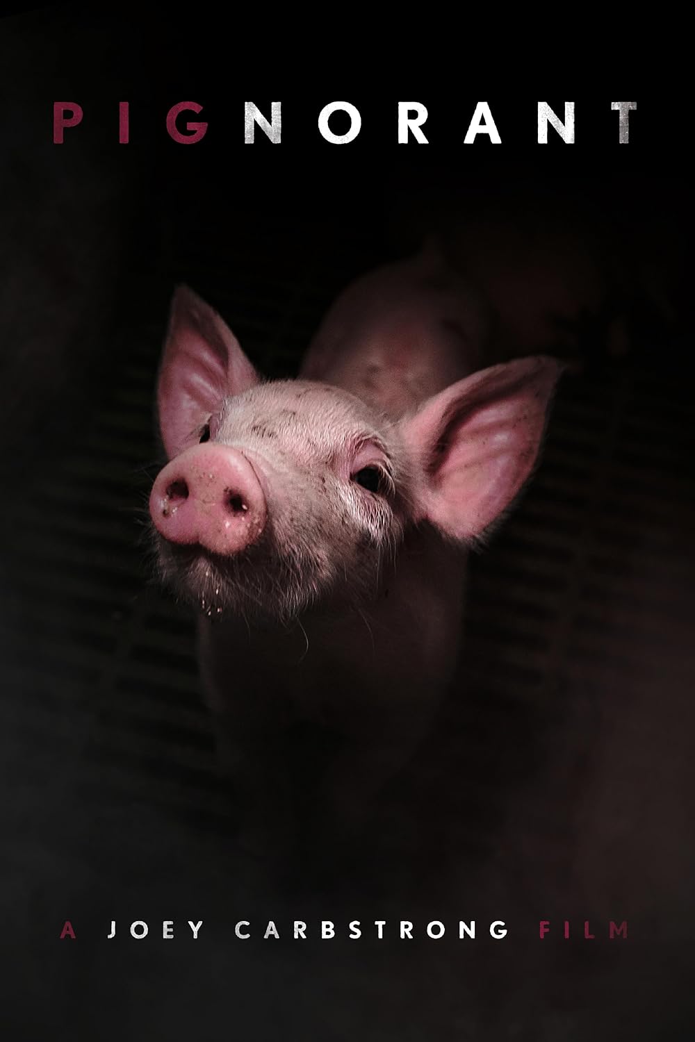Pignorant Pignorant