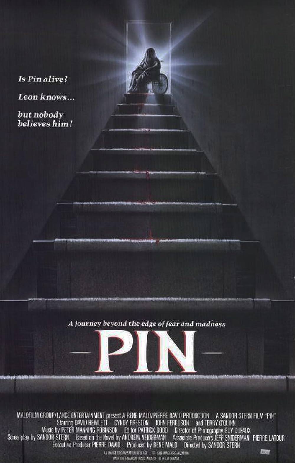 Pin Pin