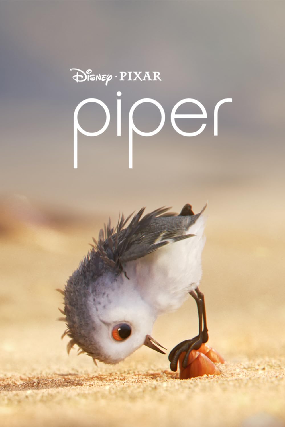 Piper Piper