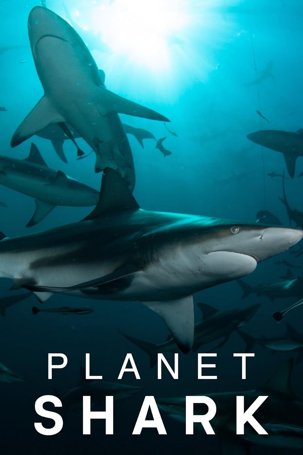 Planet