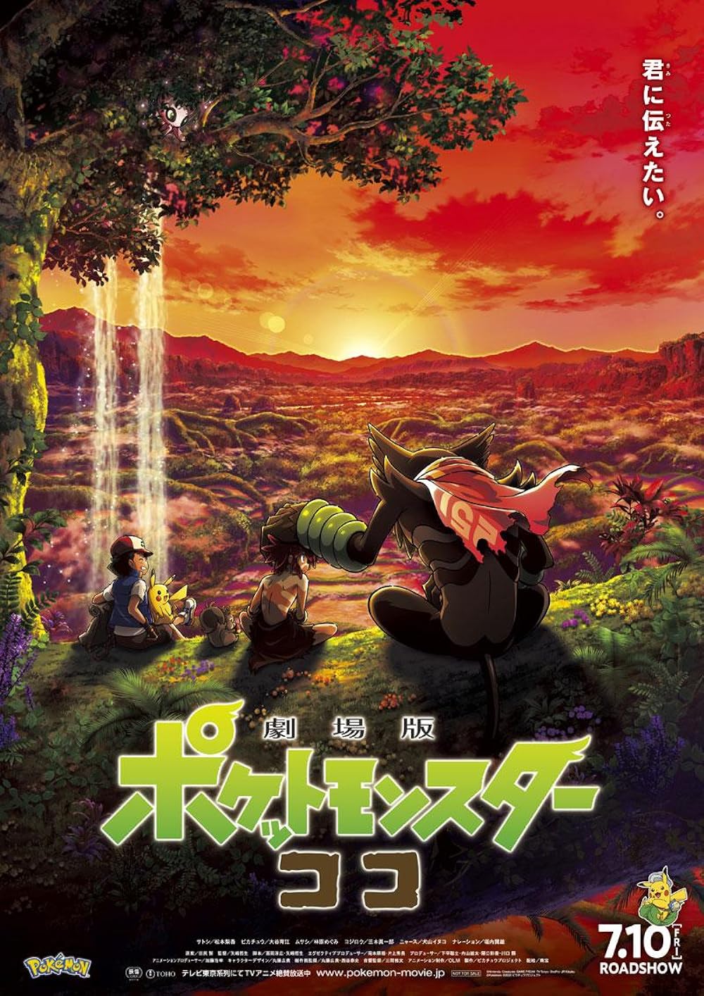 Pokémon Pokémon