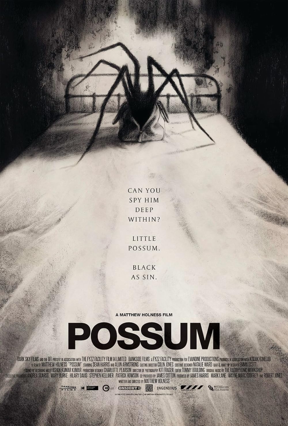 Possum Possum