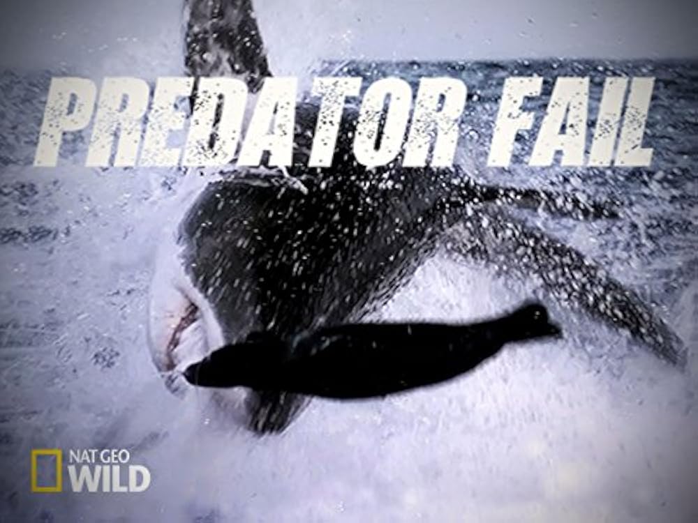 Predator Predator