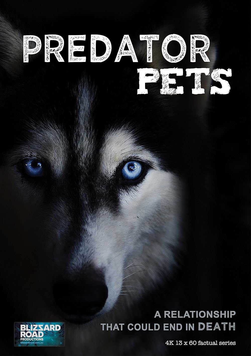 Predator Predator