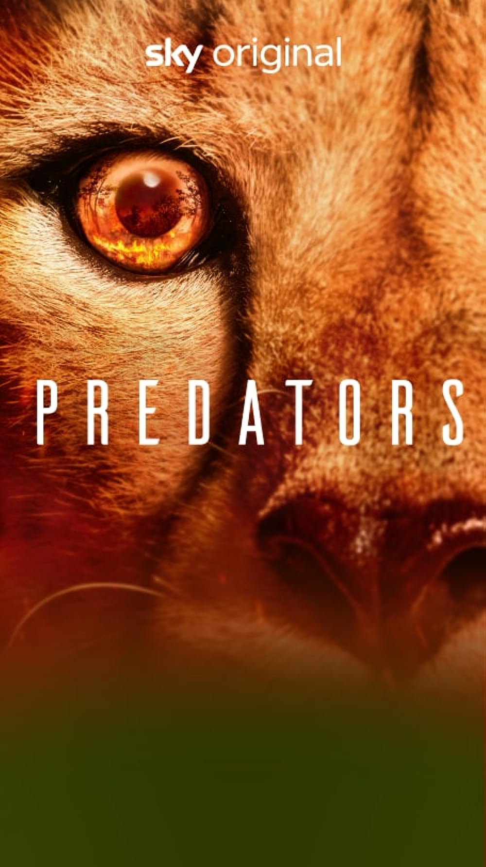 Predators Predators