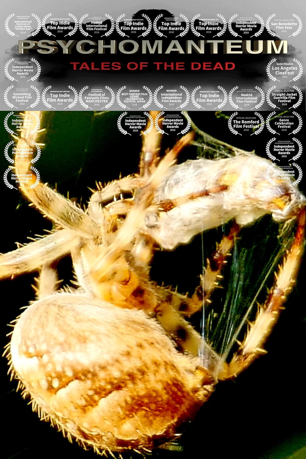 Psychomanteum Psychomanteum