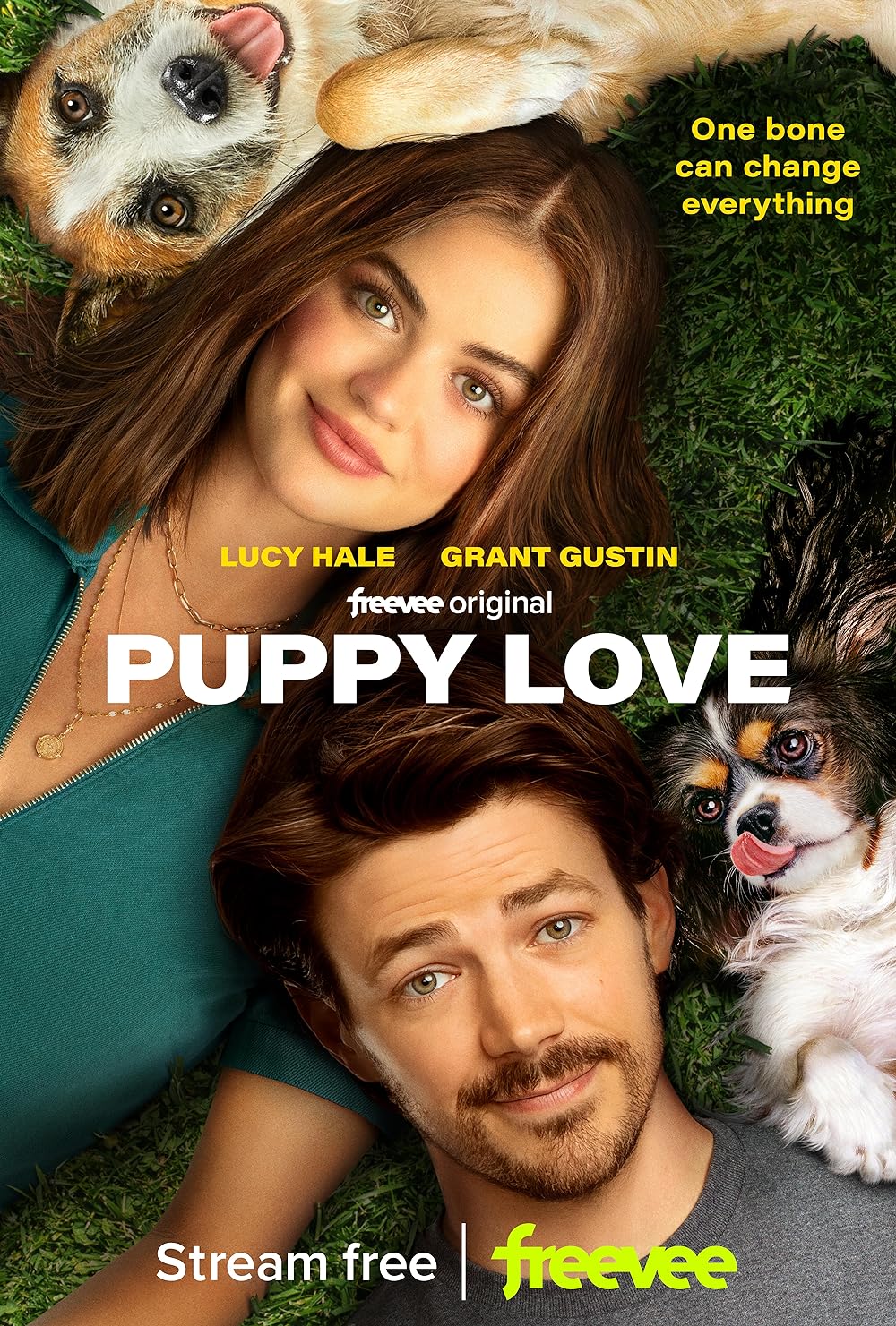 Puppy Puppy