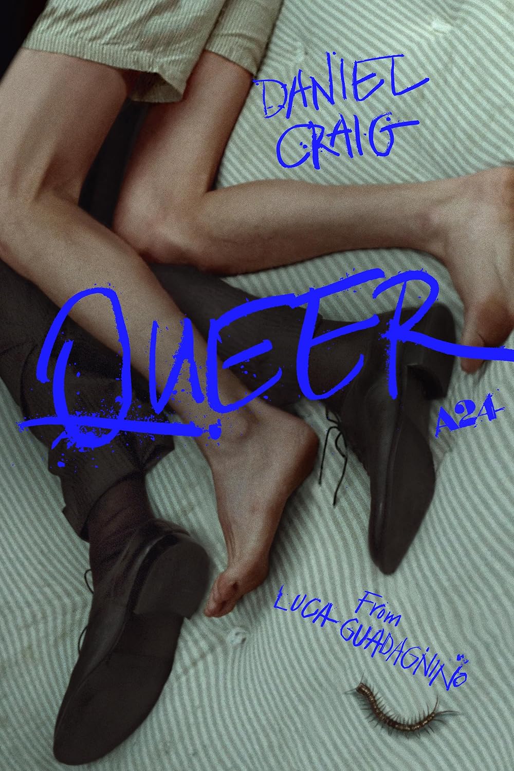 Queer Queer