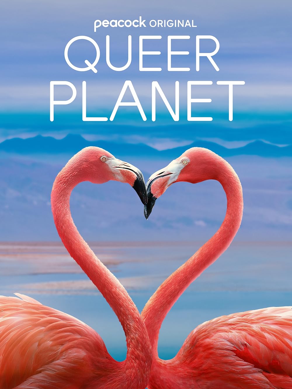 Queer Queer