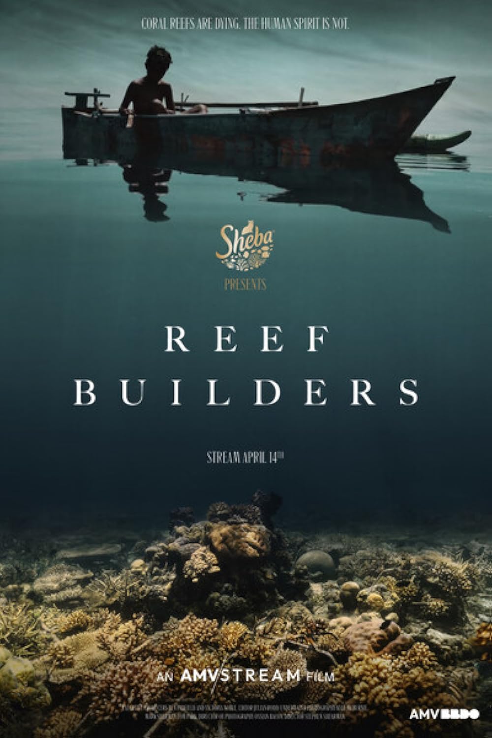 Reef Reef