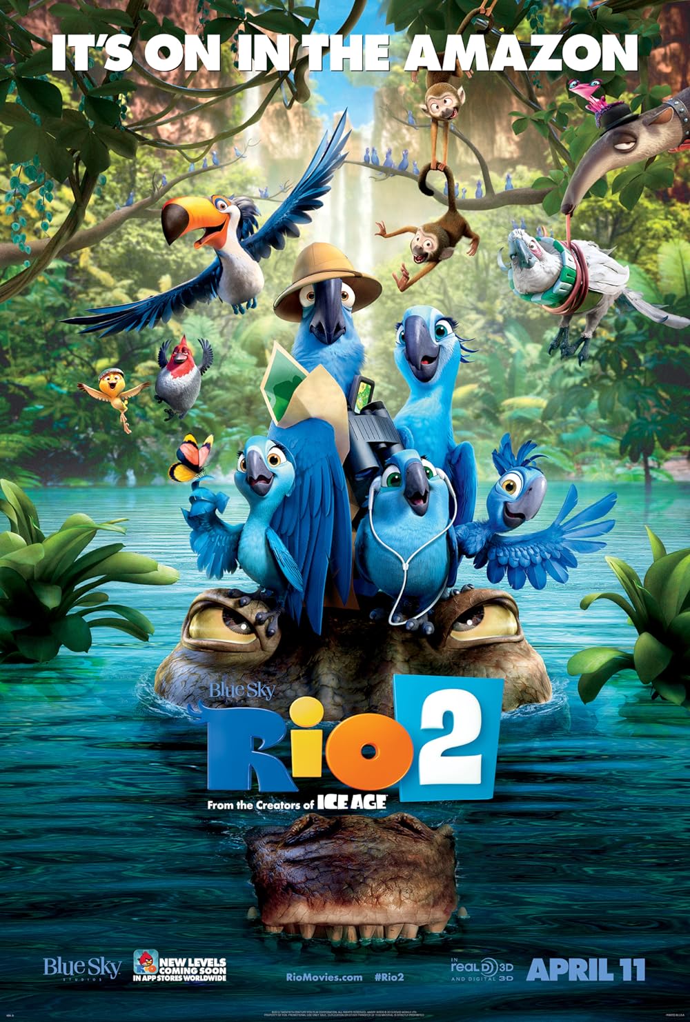 Rio Rio