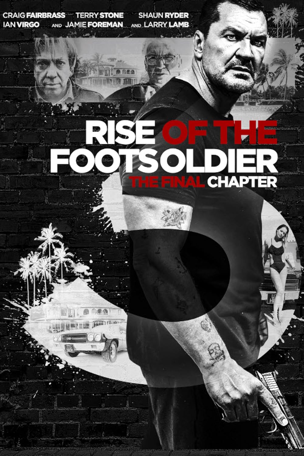 Rise Rise