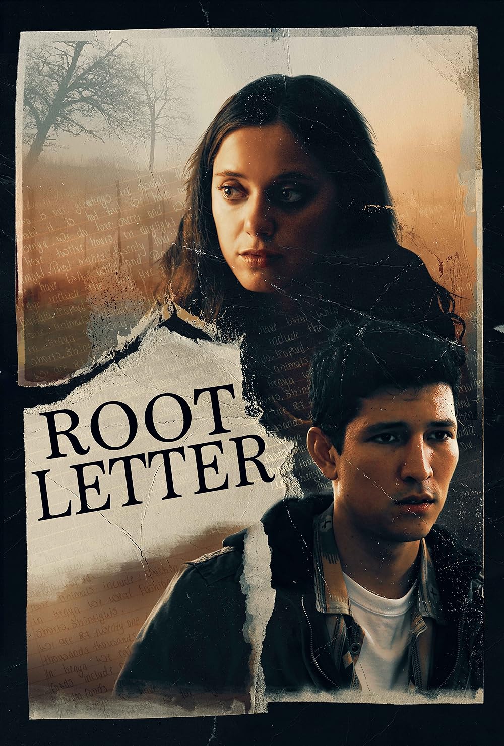Root