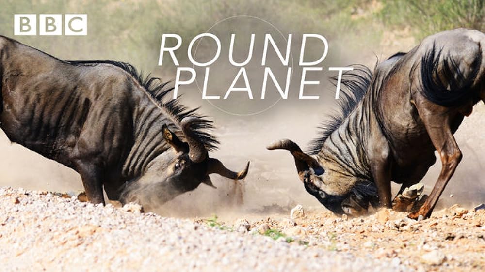 Round Round