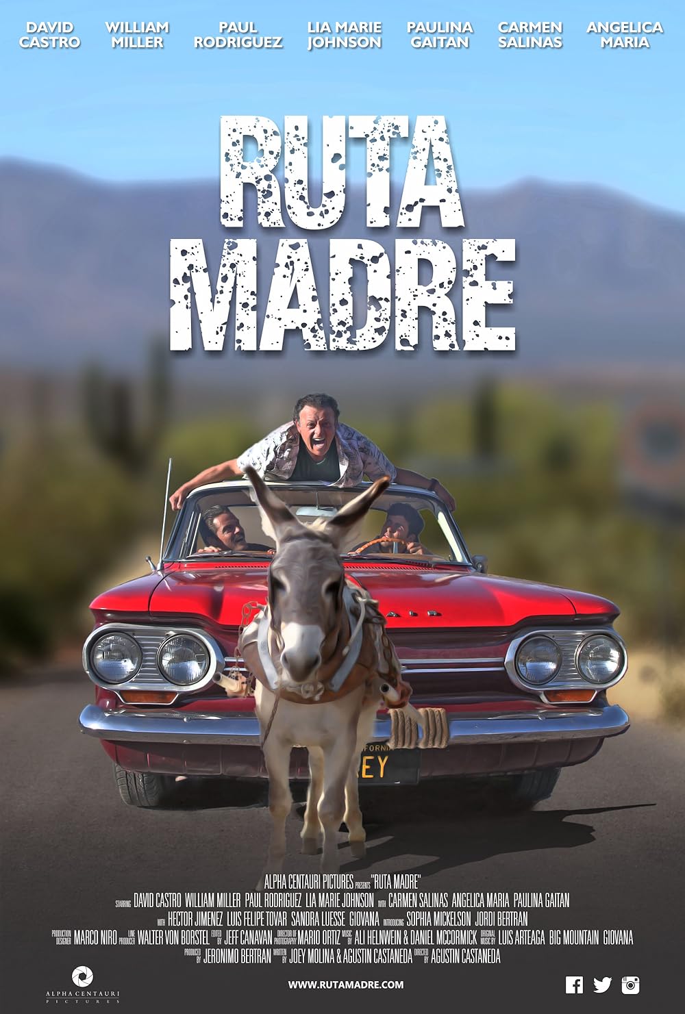Ruta Ruta