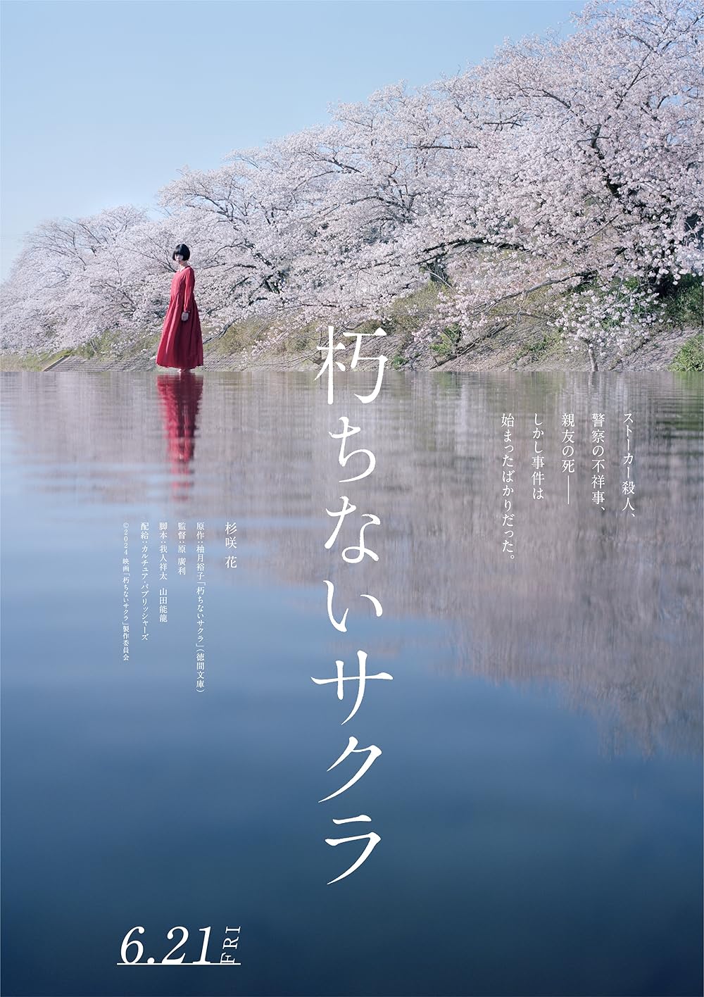 Sakura Sakura