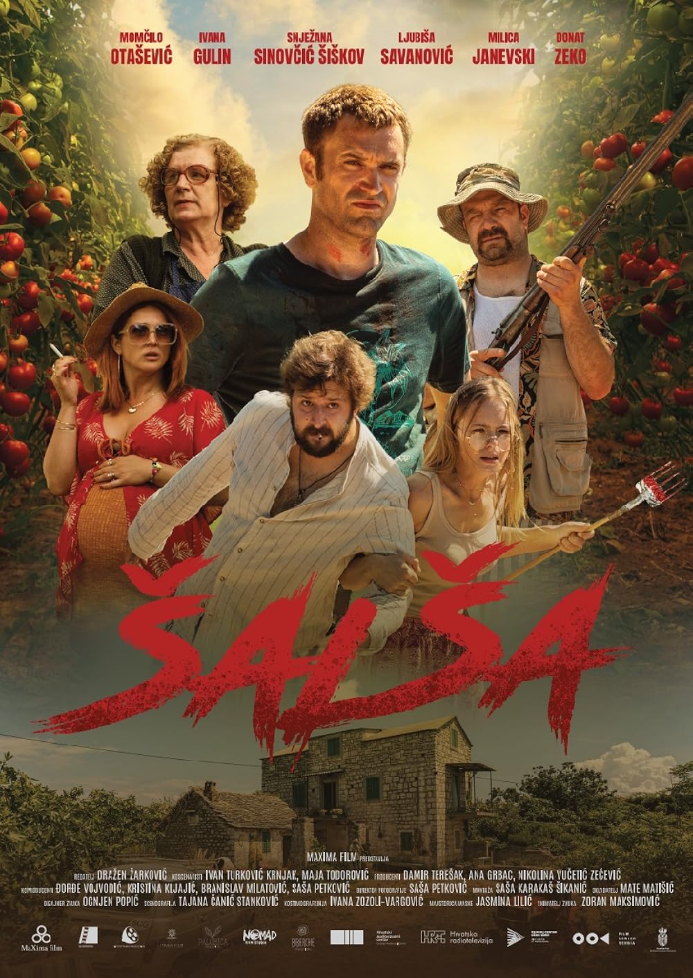 Salsa Salsa