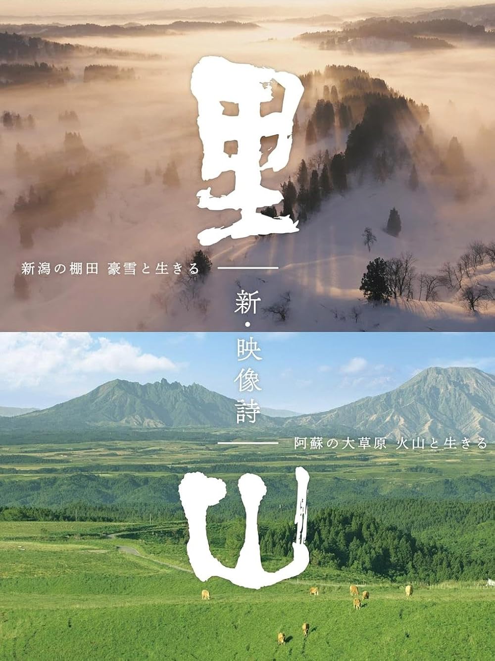 Satoyama Satoyama