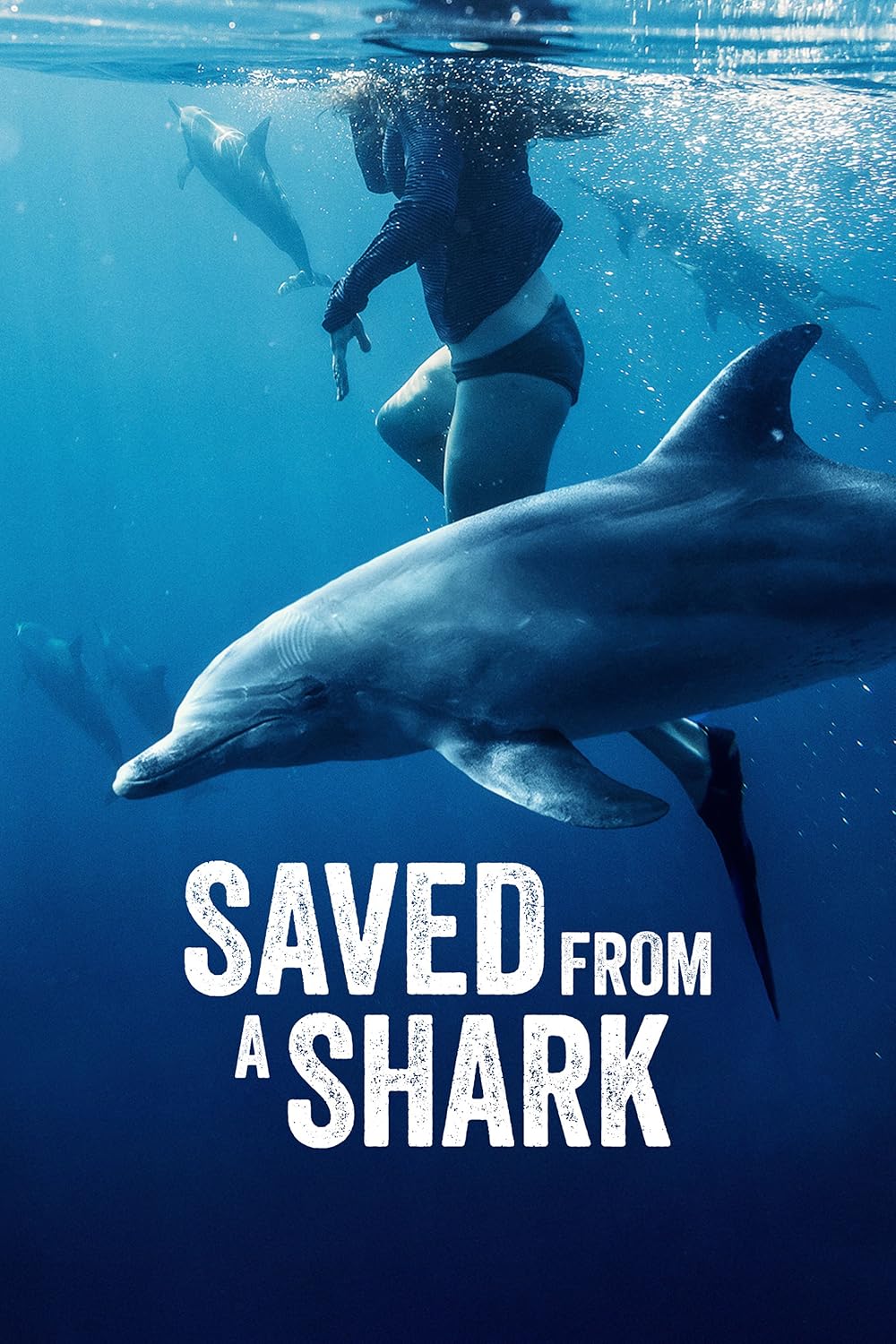 Saved Saved
