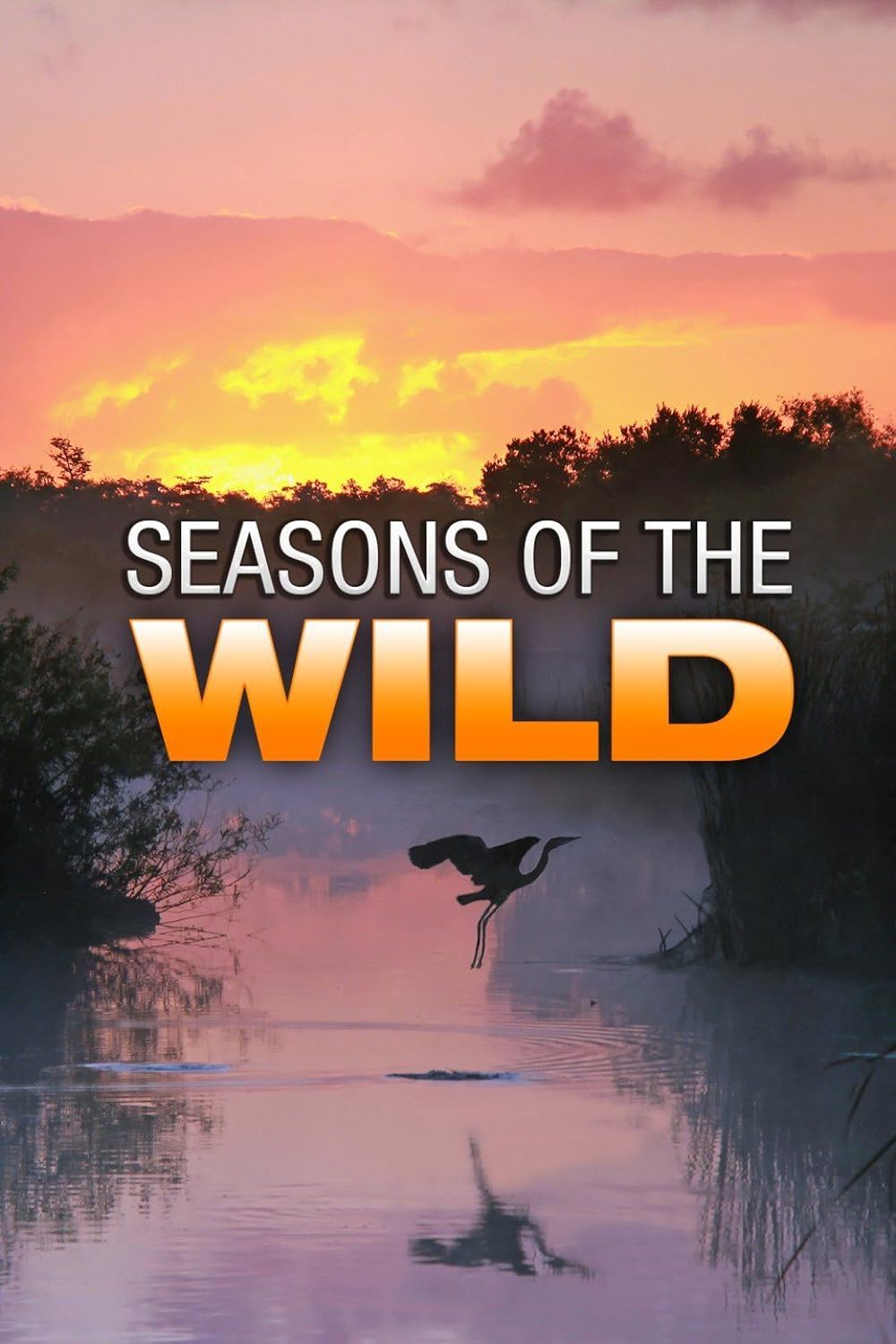 Seasons Seasons
