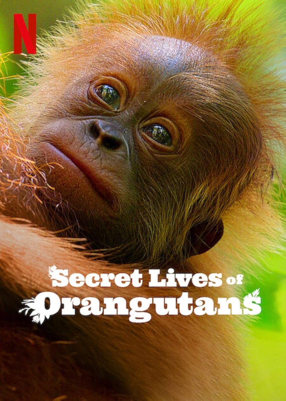 Secret Secret