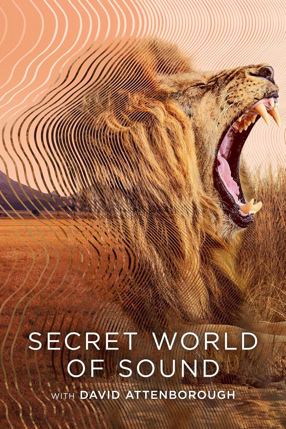 Secret Secret