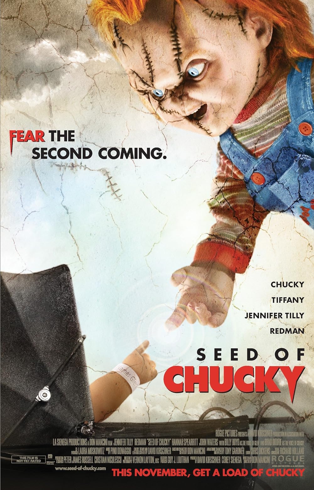 Seed