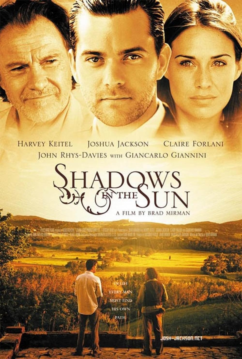 Shadows Shadows