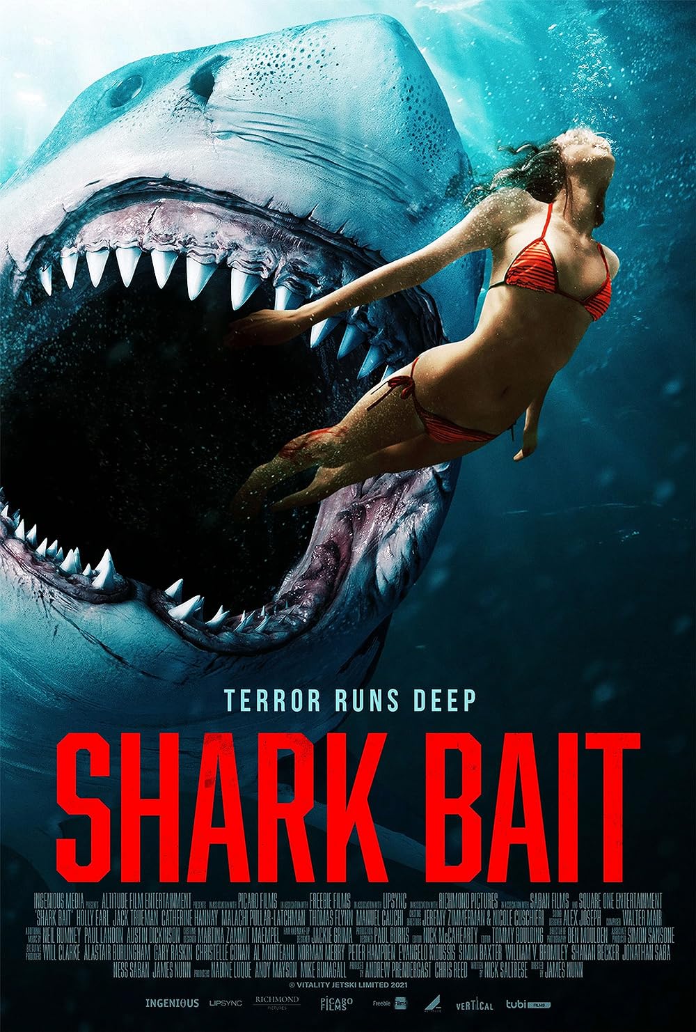 Shark Shark
