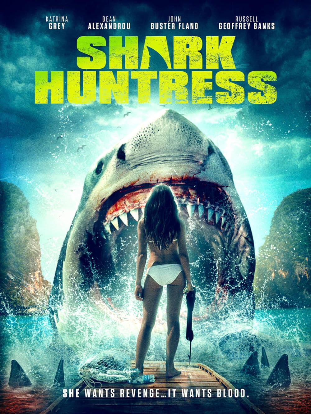 Shark Shark