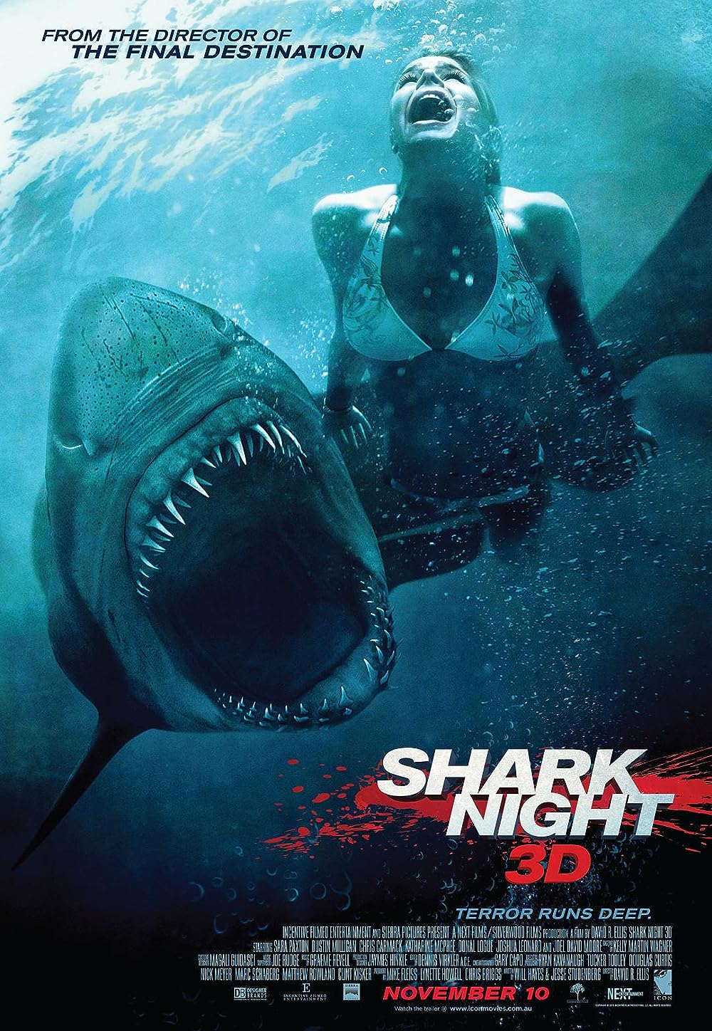 Shark Shark