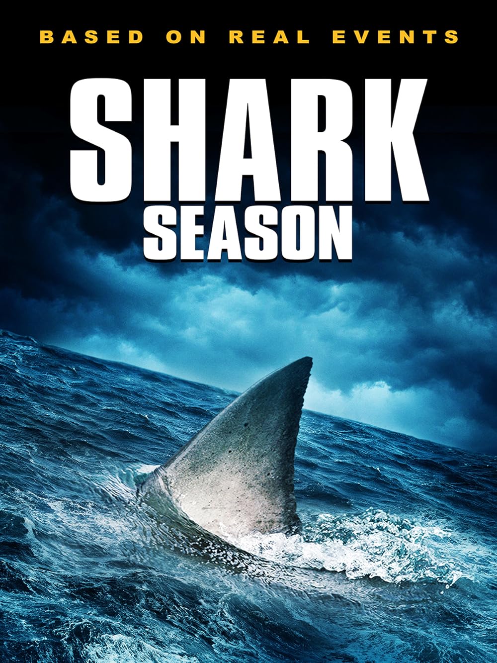 Shark Shark