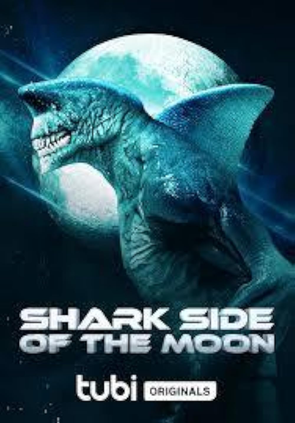 Shark Shark